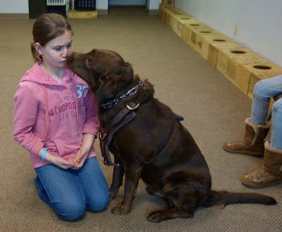 Seizure dog training sales near me